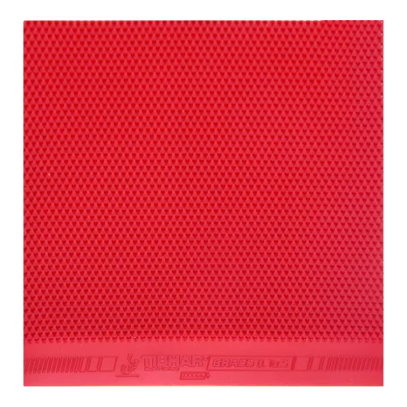 TIBHAR Grass D.TecS Gomma per  - Table Tennis Grip recensione e prezzo